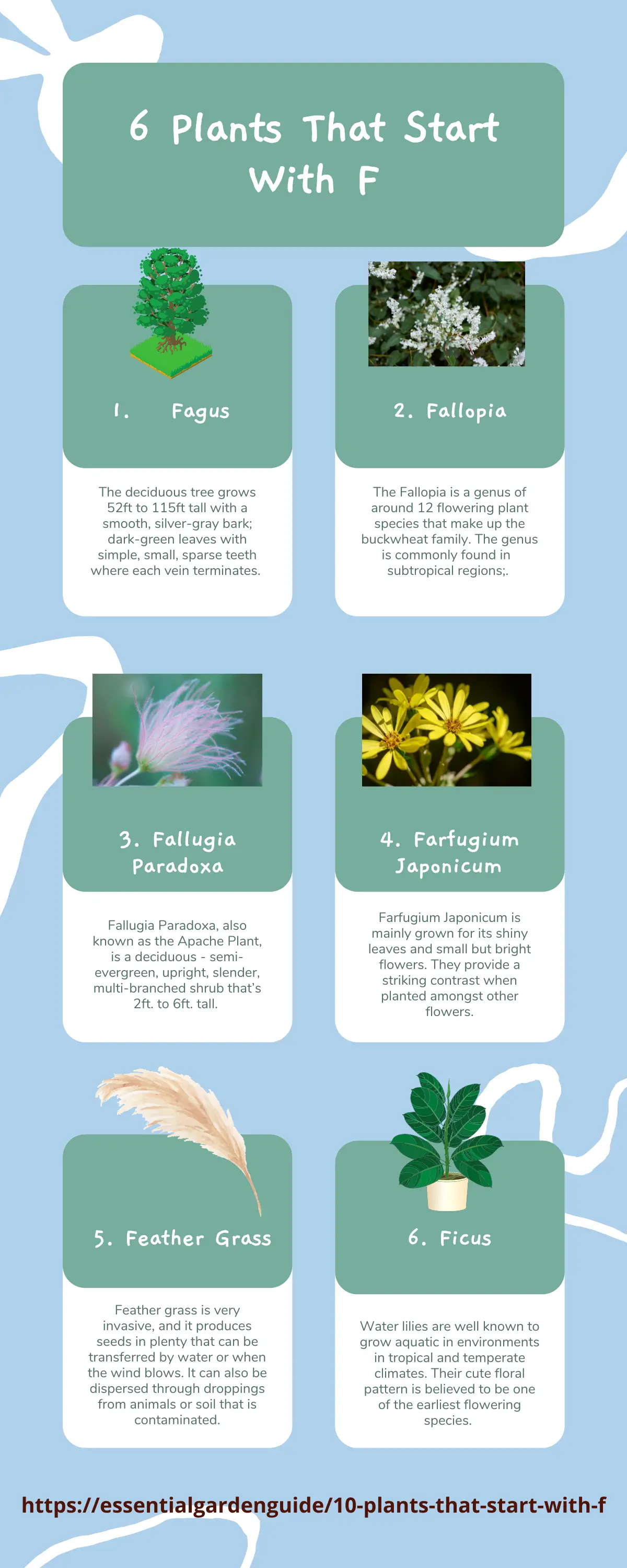 6 popular plants that start with F