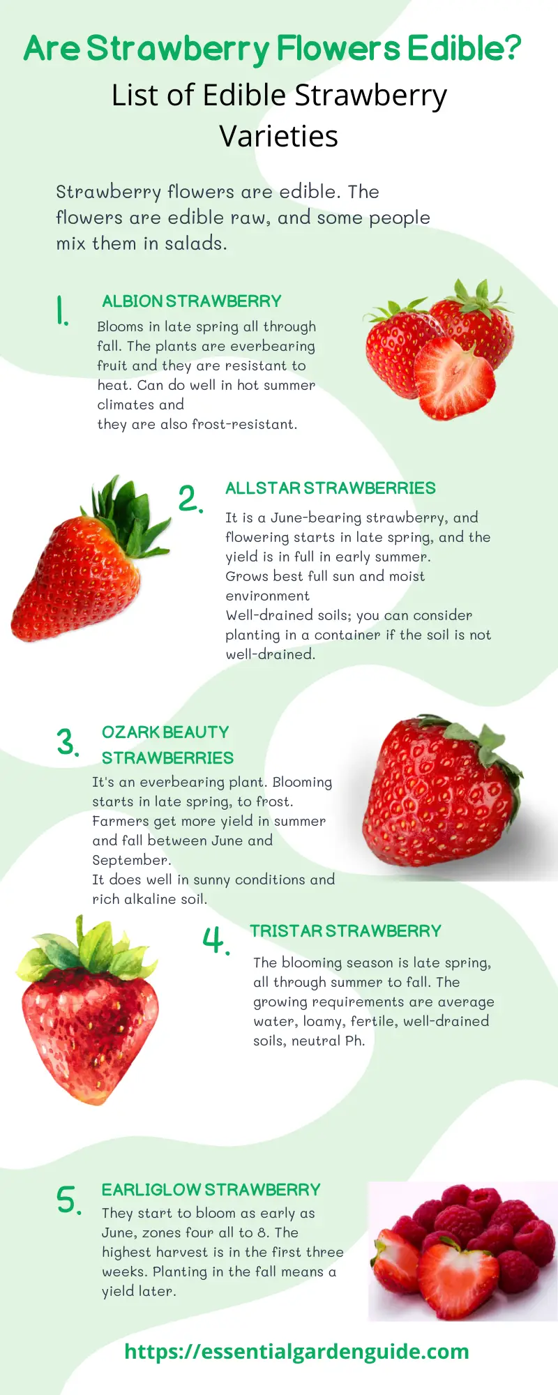 Don't eat first year strawberries