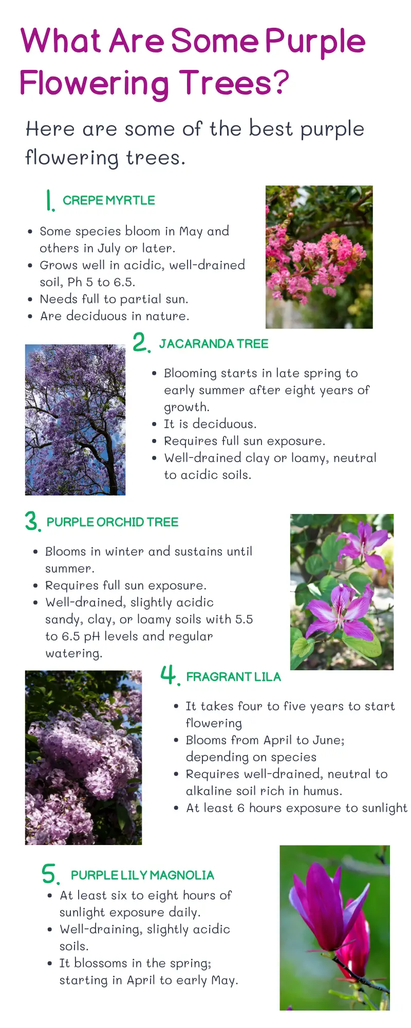 What are some purple flowering tree names?