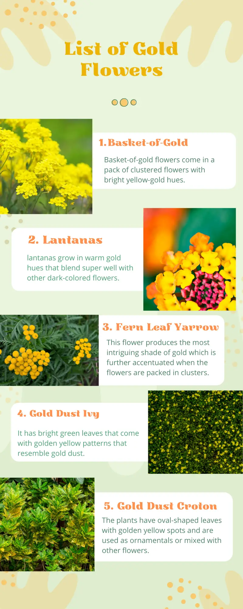 5 golden flower names and pictures