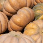 What is a Muscat Pumpkin (Fairytale Pumpkin)?