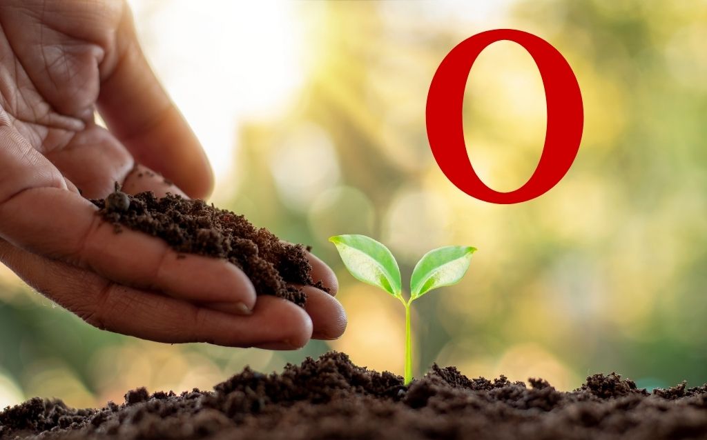 Plants beginning with the letter O
