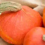 What Is Hokkaido Pumpkin Good For? (Hokkaido Squash)