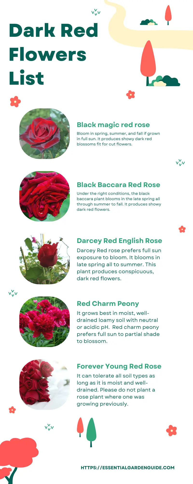 List and pictures of dark red flowers