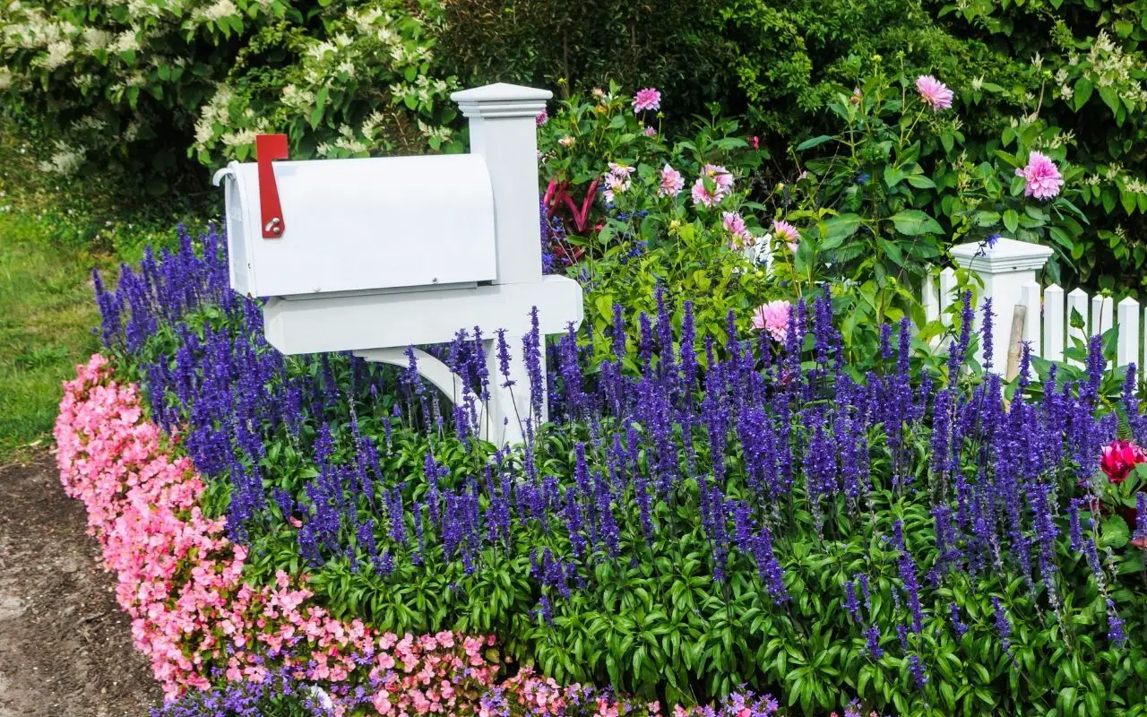 best flowers for mailbox planter