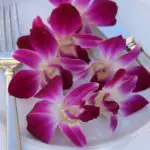 Are Orchid Flowers Edible?