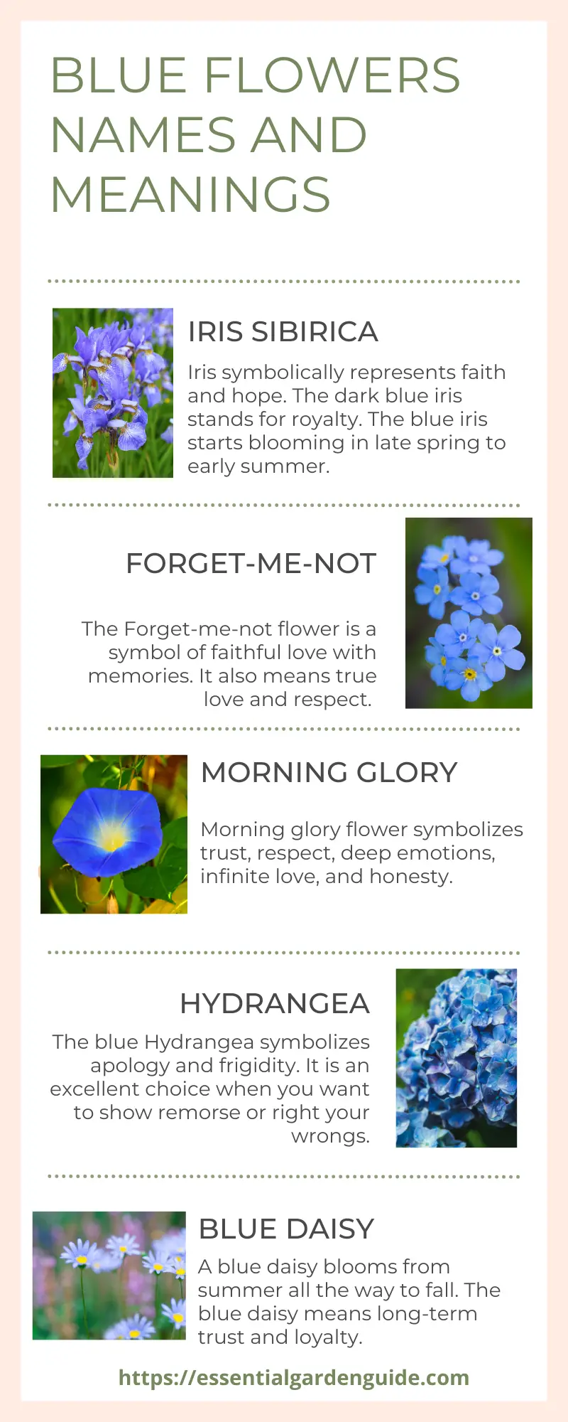 Meanings of 5 blue cover plants and with flowers