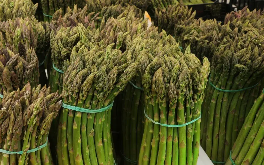 how to clean and store asparagus