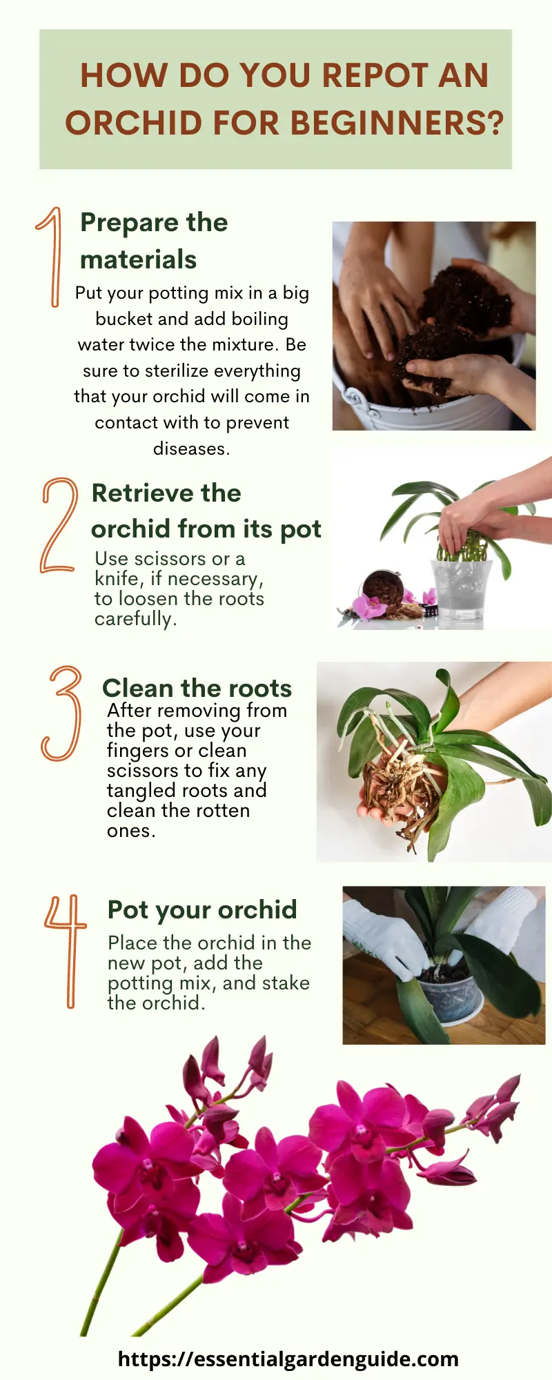 Best soil for Orhids