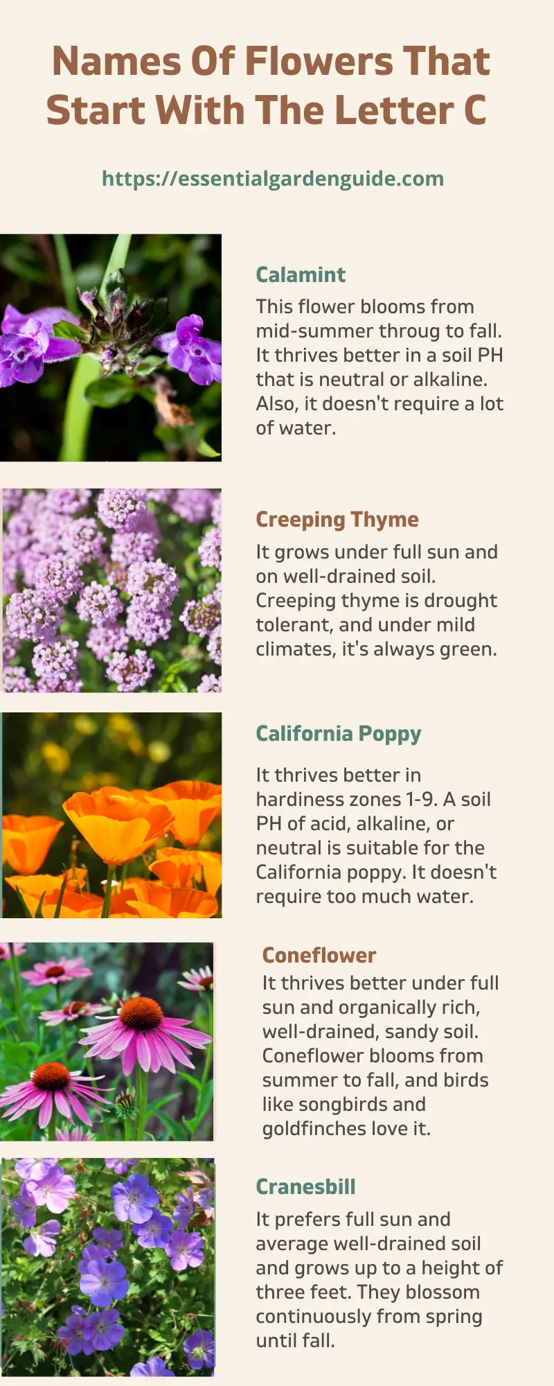 Names of flowers that start with the letter c