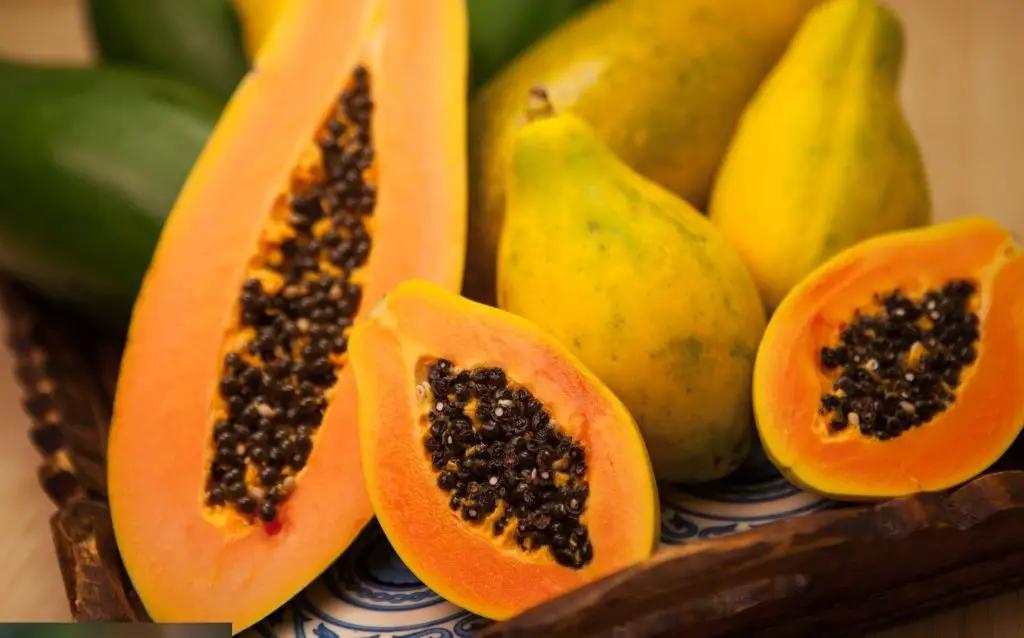 Papaya fruit has different colored flesh