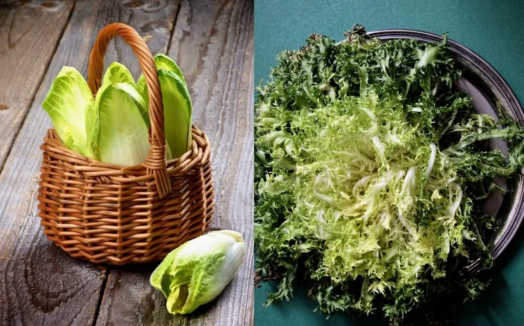 Are escaroles and endives the same thing?