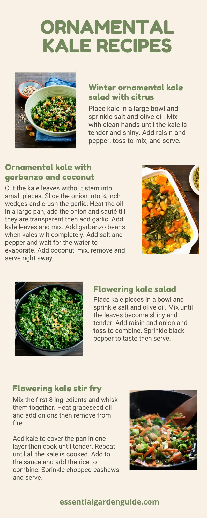 Ornamental Kale recipes